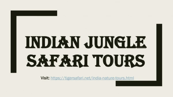 Indian jungle safari tours