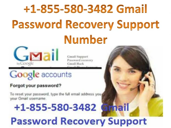 Gmail Password Recovery Support Number