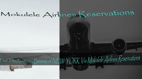 Feel The Aesthetic Beauty Of New York Via Mokulele Airlines Reservations