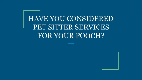 HAVE YOU CONSIDERED PET SITTER SERVICES FOR YOUR POOCH?