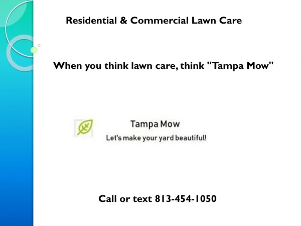 Residential & Commercial Lawn Care Services In Tampa