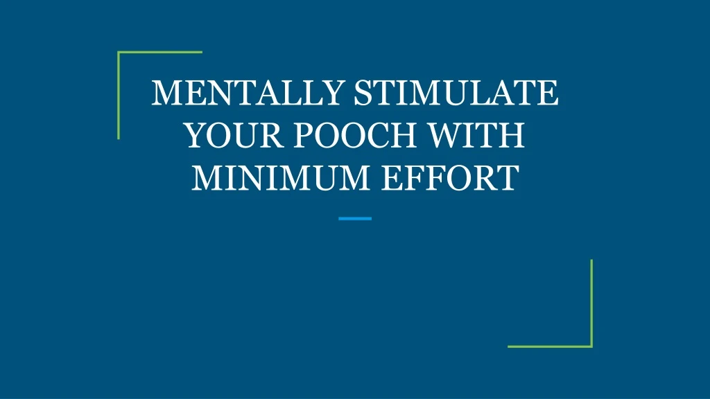 mentally stimulate your pooch with minimum effort
