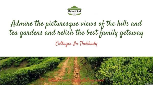 Cottages in Thekkady