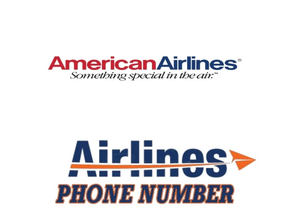 American airlines phone number