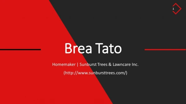 Brea L Tato - Loves Traveling and Eating Out At Fun Restaurants