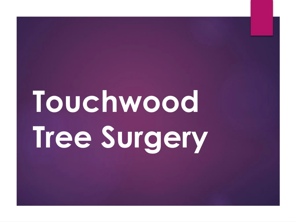 touchwood tree surgery