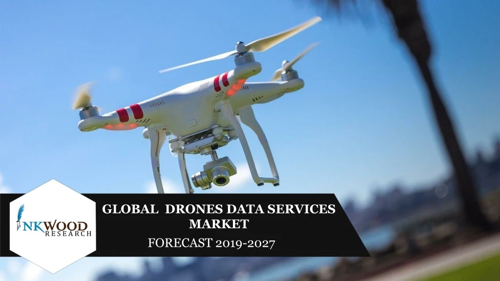 global drones data services market