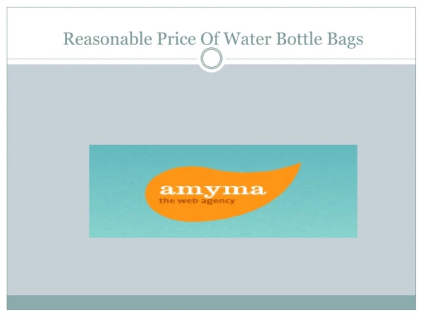 Reasonable Price Of Water Bottle Bags