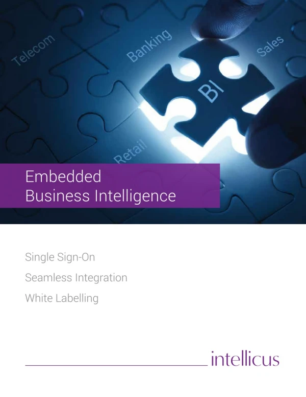 Embedded Business Intelligence Solution for OEMs