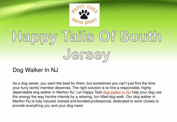 Professional Dog Walker In NJ