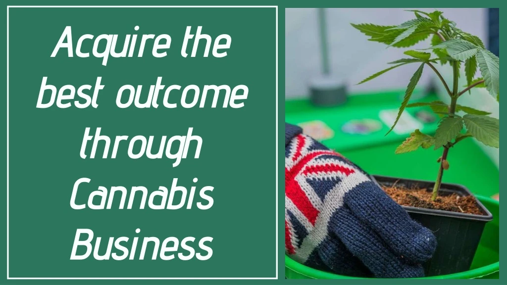 acquire the best outcome through cannabis business