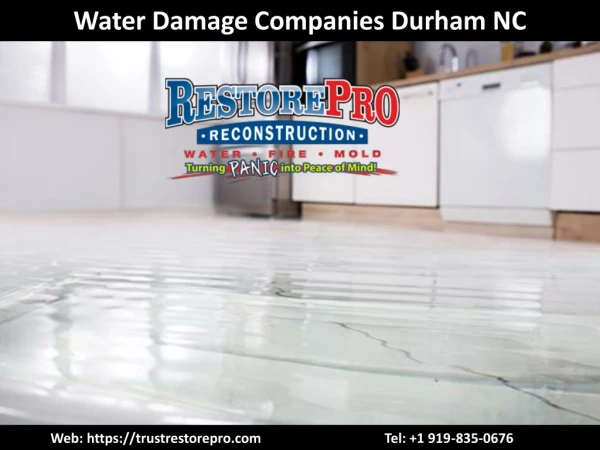 Best Water Damage Companies in Durham NC