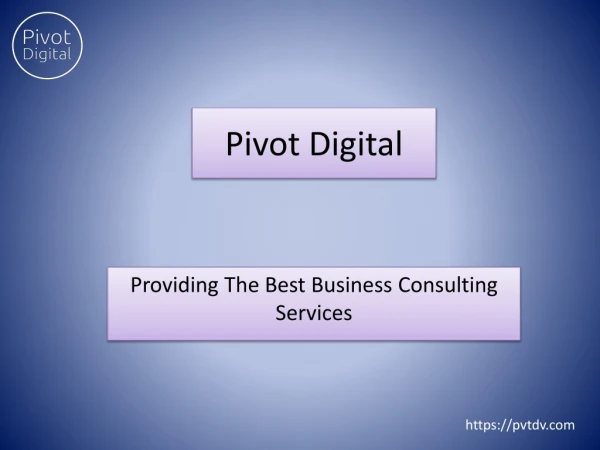 Pivot Digital | Business Consultant Services | At Very Competitive Prices