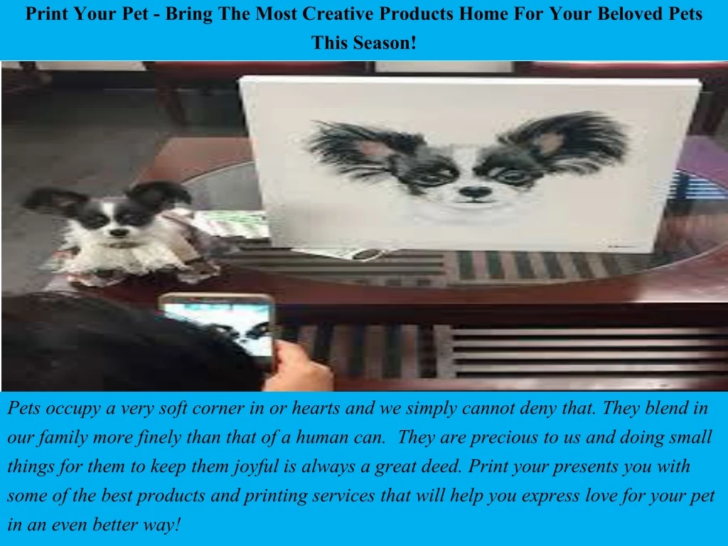 print your pet bring the most creative products home for your beloved pets this season