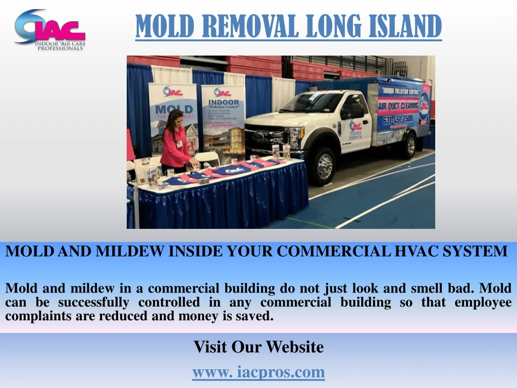 mold removal long island