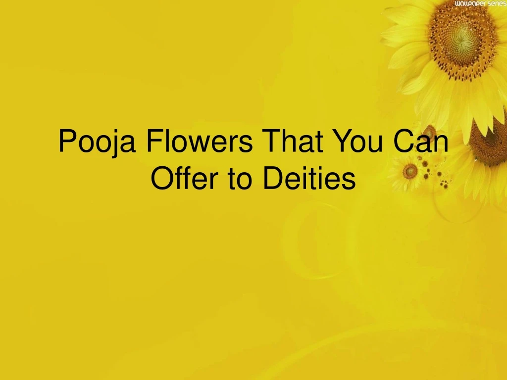 pooja flowers that you can offer to deities