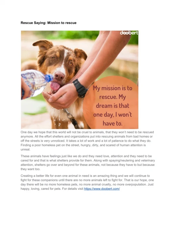 Rescue Saying: Mission to rescue