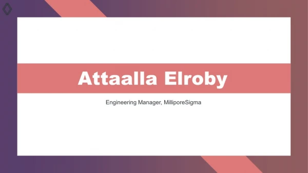 Attaalla Elroby - Possesses Strong Leadership Abilities