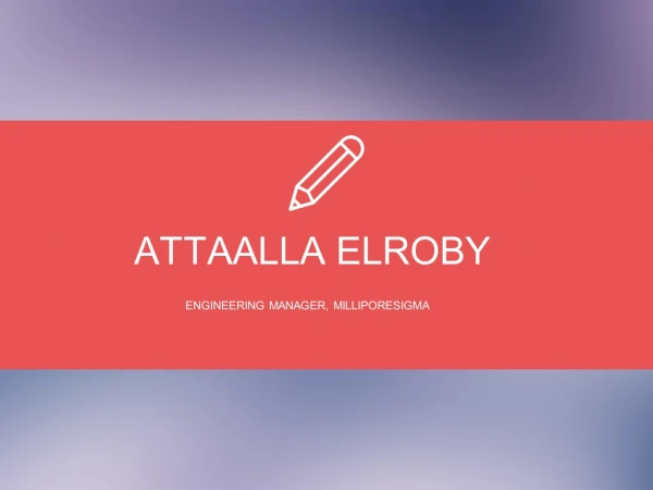 Attaalla Elroby - Provides Consultation in Project Management