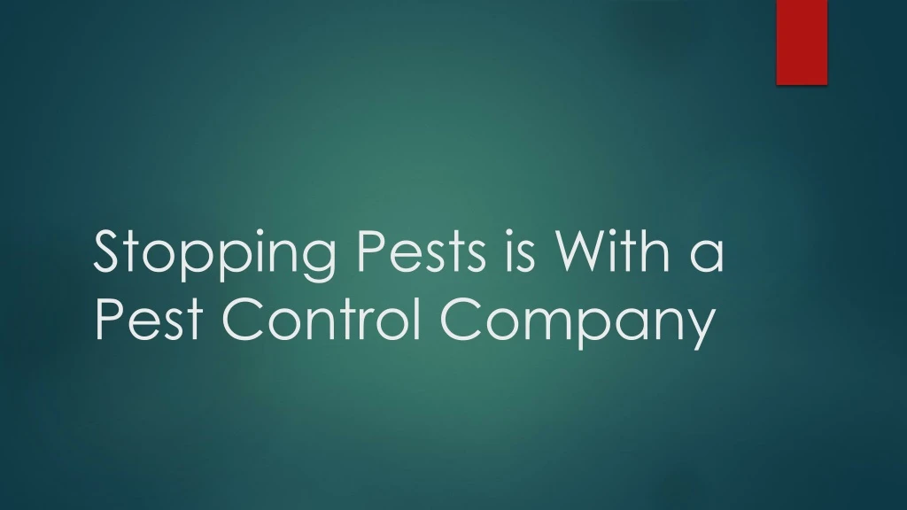 stopping pests is with a pest control company