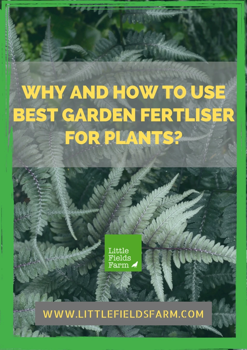 why and how to use best garden fertliser