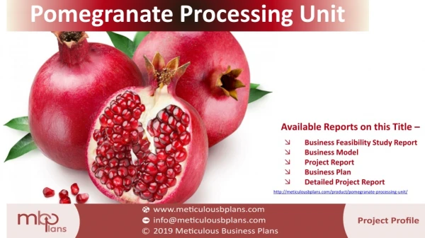 Pomegranate Processing Unit