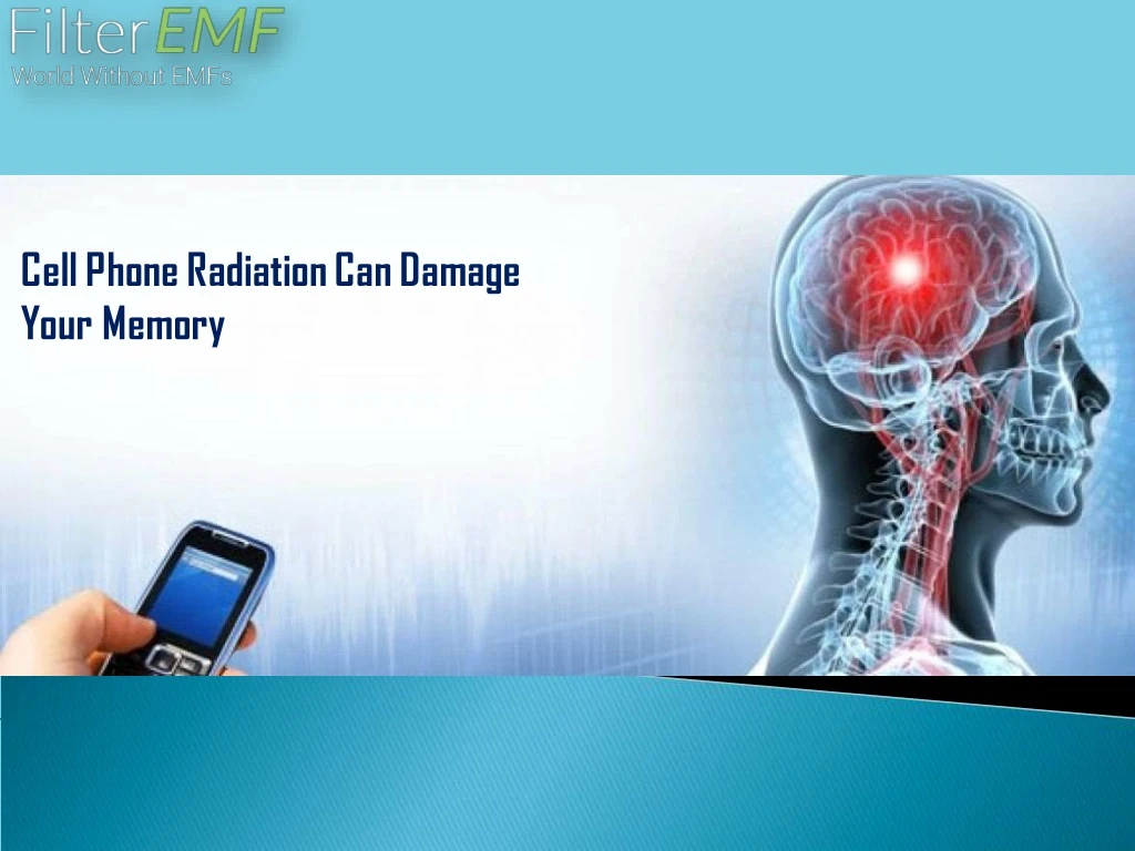 cell phone radiation can damage your memory