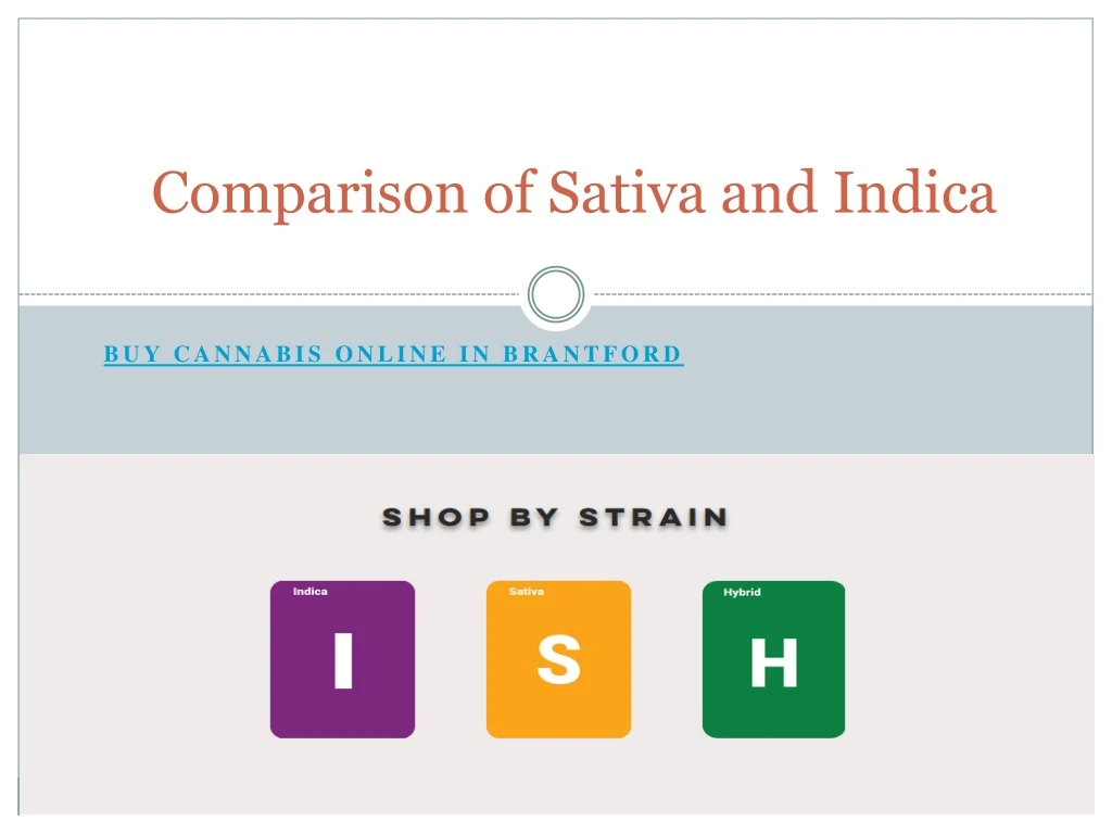 comparison of sativa and indica