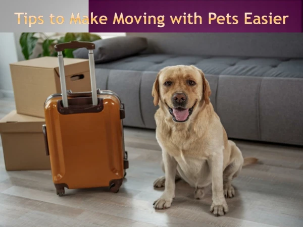 Things You Need To Know Before You Move With Pets