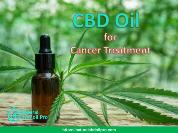 CBD Oil for Cancer Treatment