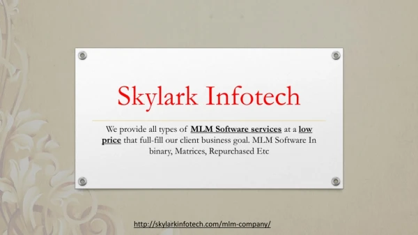 skylark infotech