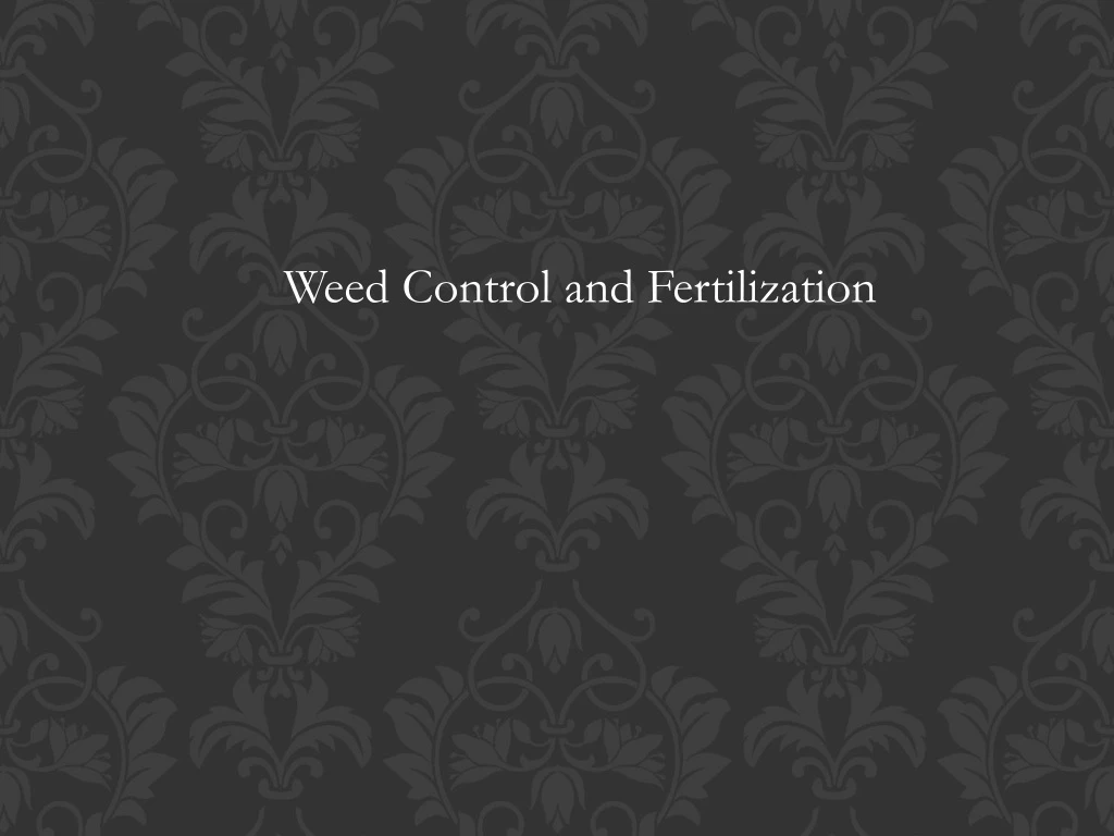 weed control and fertilization