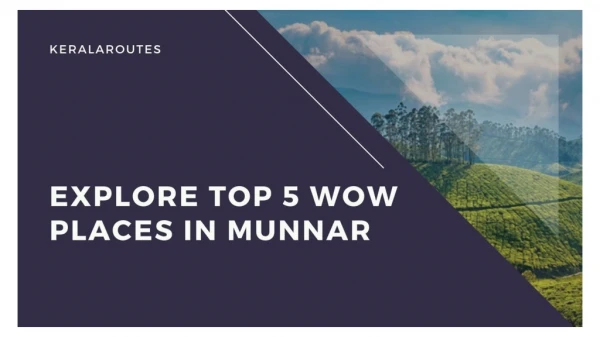 Explore Top 5 Wow Places in Munnar