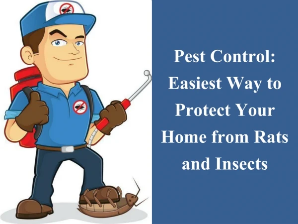 Pest Control: Easiest Way to Protect Your Home from Rats and Insects