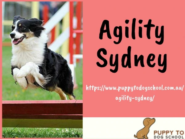 Agility Sydney