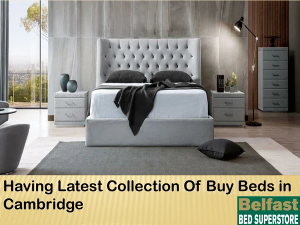 Having Latest Collection Of Buy Beds in Cambridge