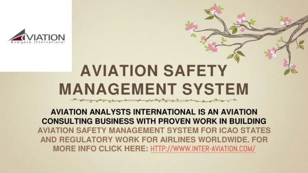 Aviation Management Services