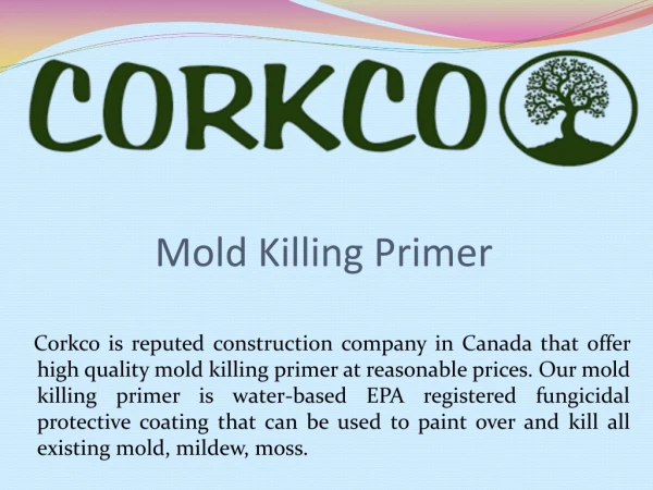 Mold Killing Primer