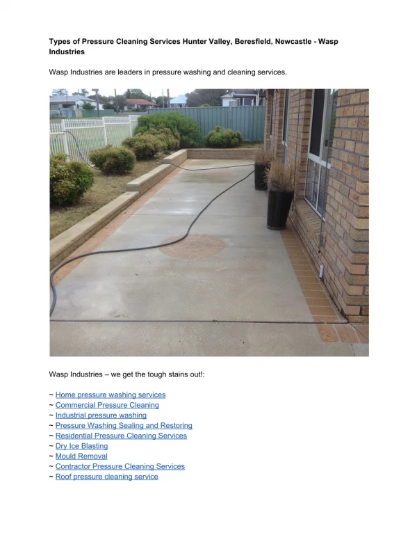 Types of Pressure Cleaning Services Hunter Valley, Beresfield, Newcastle - wasp industries