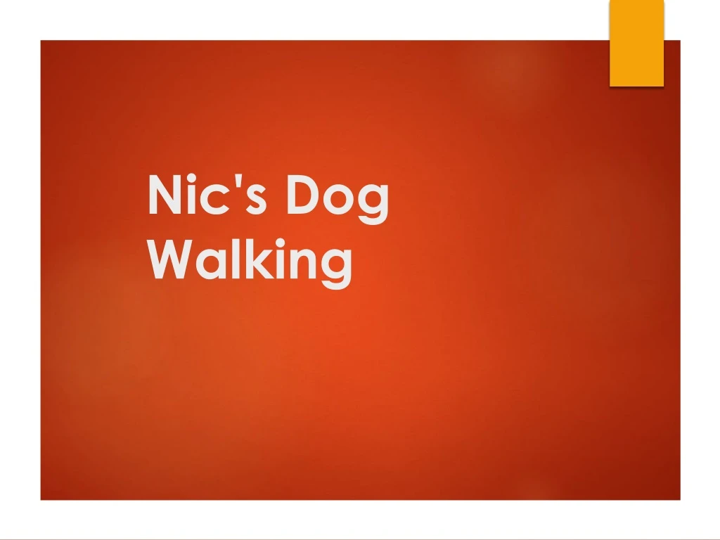 nic s dog walking