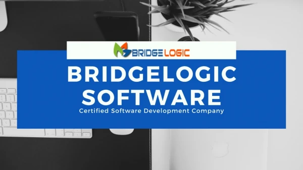 Leading Custom ERP Software Solutions Company - BridgeLogic Software Pvt. Ltd.