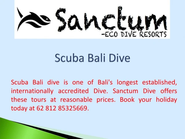 scuba bali dive