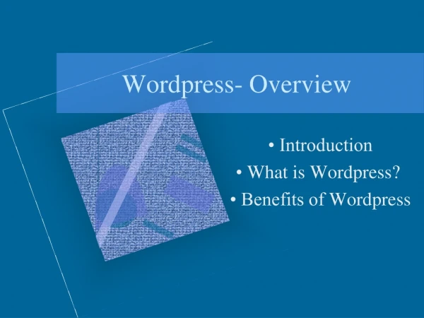 wordpress overview