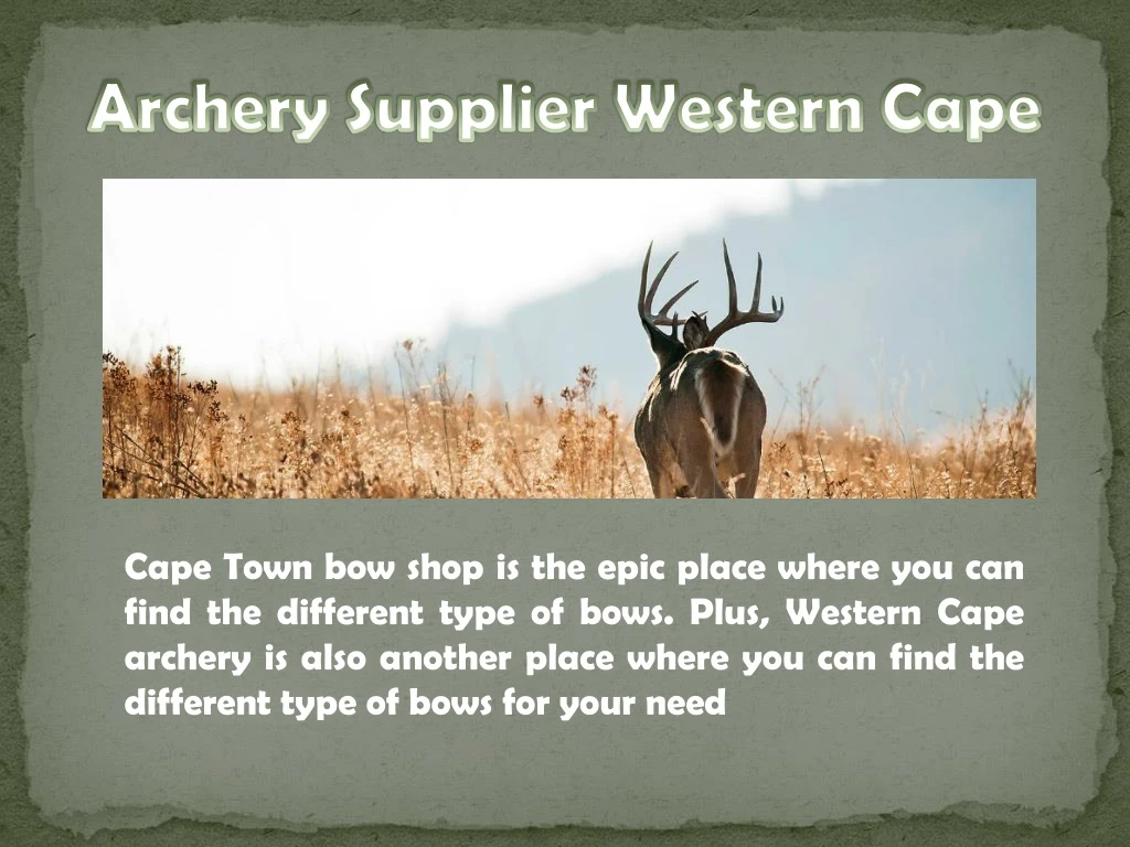 archery supplier western cape