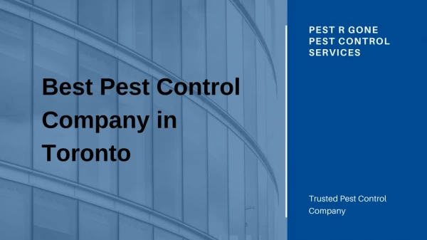 Best Pest Control Service Toronto