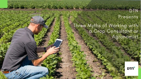 Three Myths of Working with a Crop Consultant or Agronomist