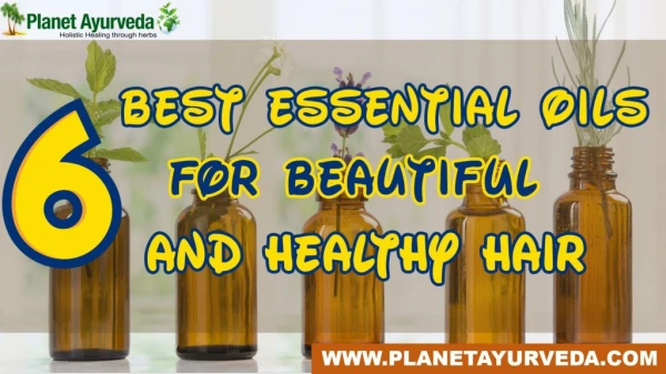 6 best essential oils for Healthy & Strong Hair
