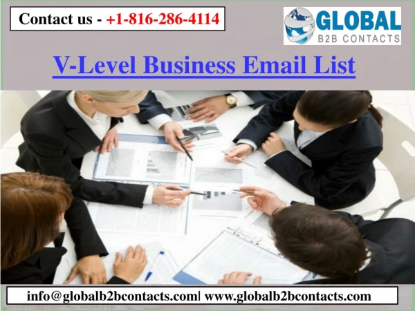 V-Level Business Email List