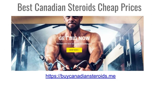 Best Canadian Steroids Cheap Prices