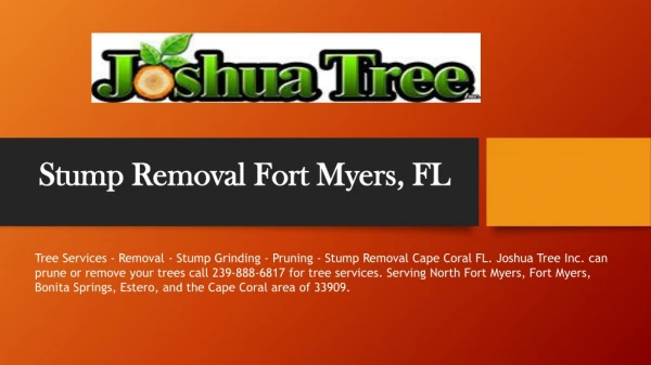 Stump Removal Fort Myers, FL
